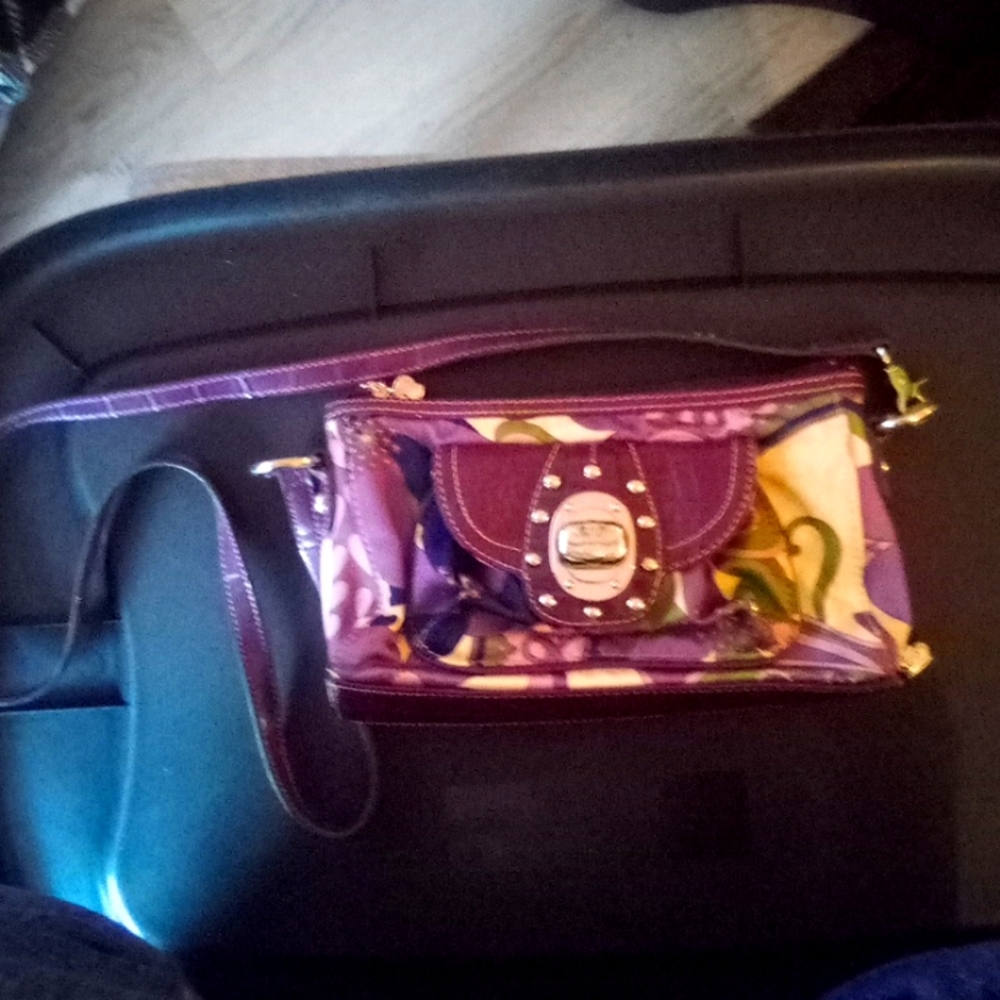 Kathy Van Zeeland purse